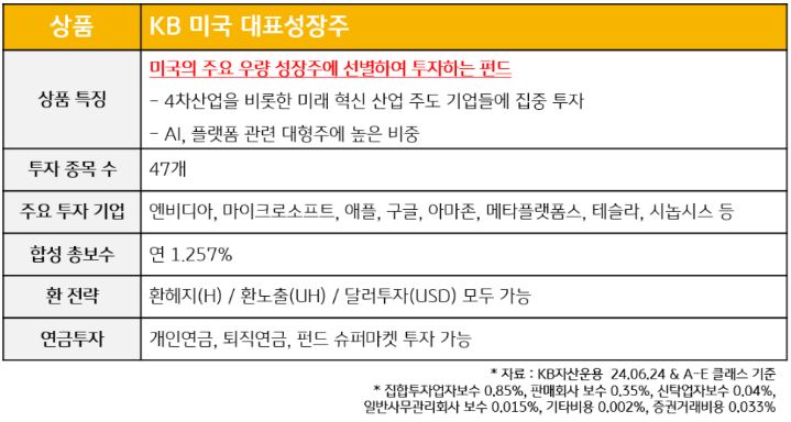 미국 주요 우량 성장주에 선별하여 투자하는 'kb 미국 대표성장주' 펀드의 특징과 종목 수, 보수 등을 정리한 표.